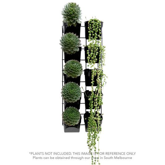 Easy-Fit succulent vertical garden kit (medium)