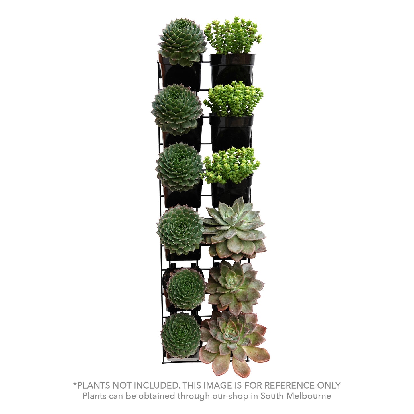 Easy-Fit Succulent vertical garden kit (large)