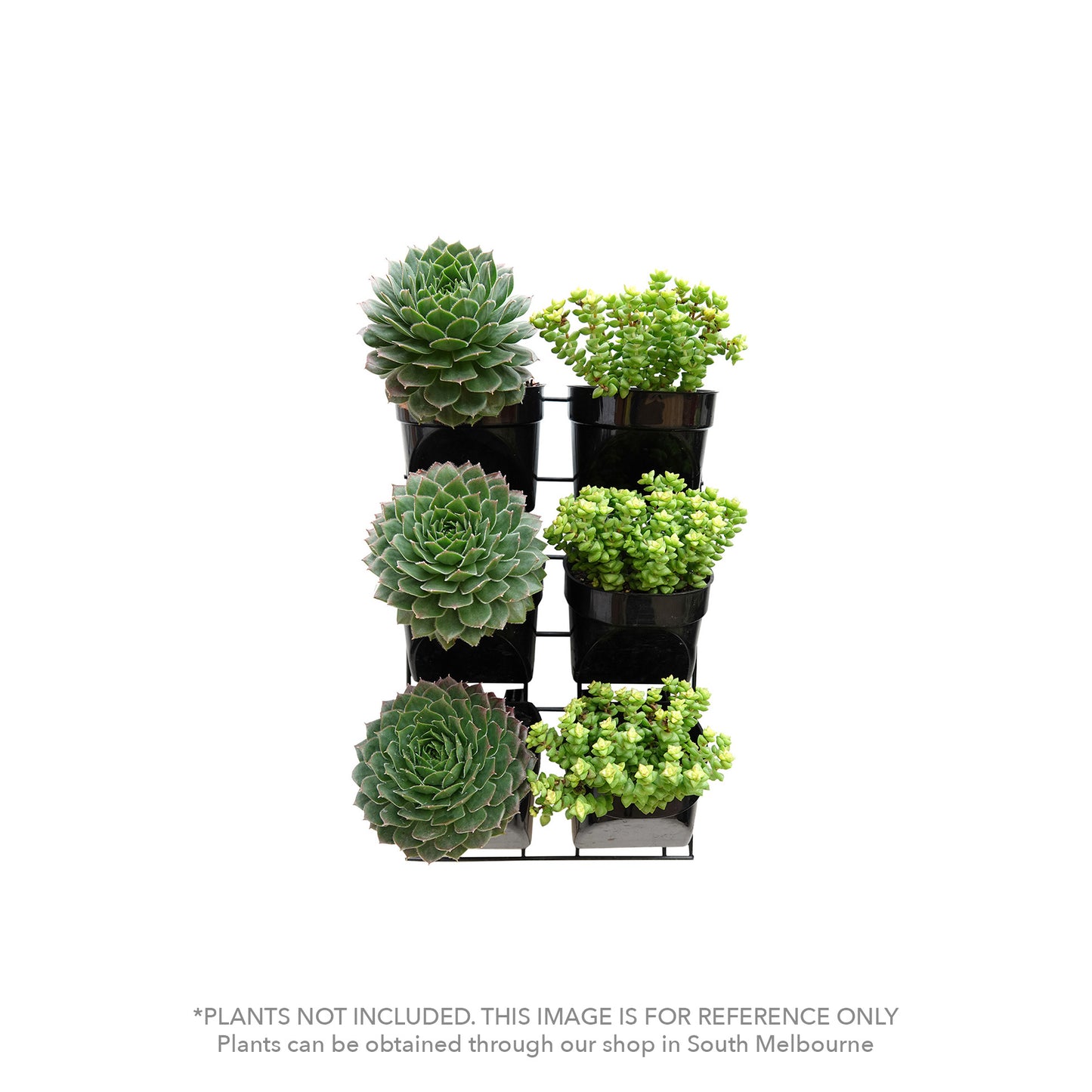 Easy-Fit Succulent vertical garden kit (small)