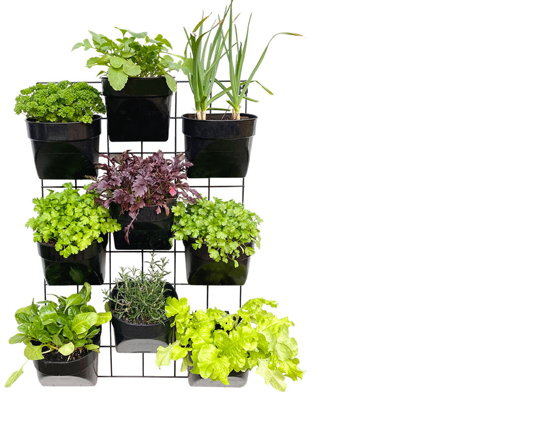 Food Wall Easy-Fit vertical garden kit