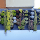 Easy-Fit Succulent vertical garden kit (small)