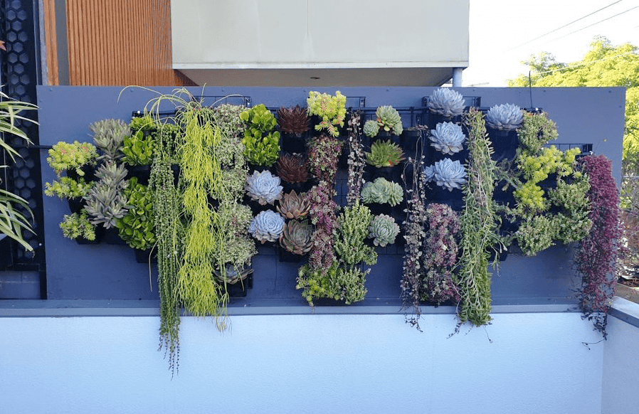 Easy-Fit Succulent vertical garden kit (large)
